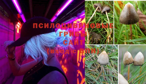 гидра Медногорск