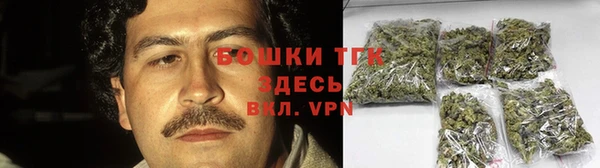 сатива Магадан