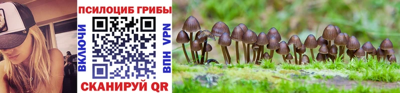 цена наркотик  Хвалынск  Псилоцибиновые грибы GOLDEN TEACHER 